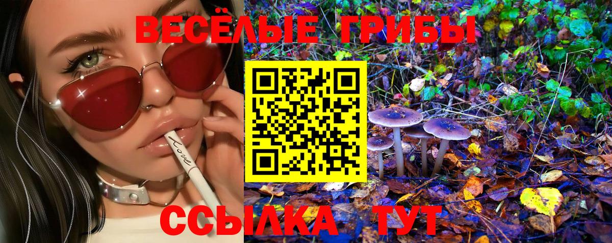 Галлюциногенные грибы мицелий  Галлюциногенные грибы мицелий  Вход с VPN  купить  цена  Нижнеудинск 